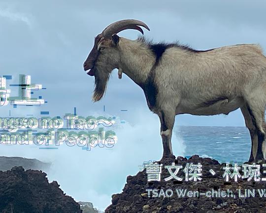 《岛上》纪录片封面