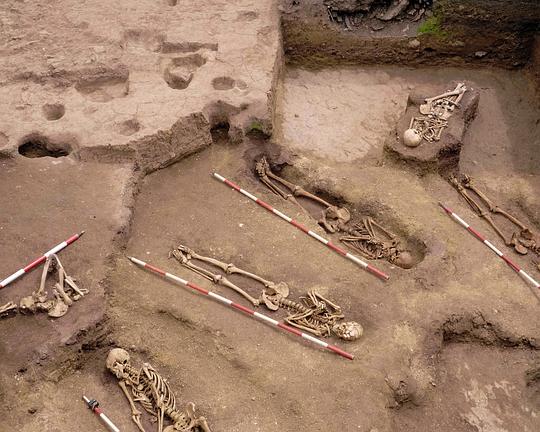 《在圣堂里的一场演出》纪录片封面