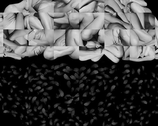 《Corpus and the Wandering》动画封面