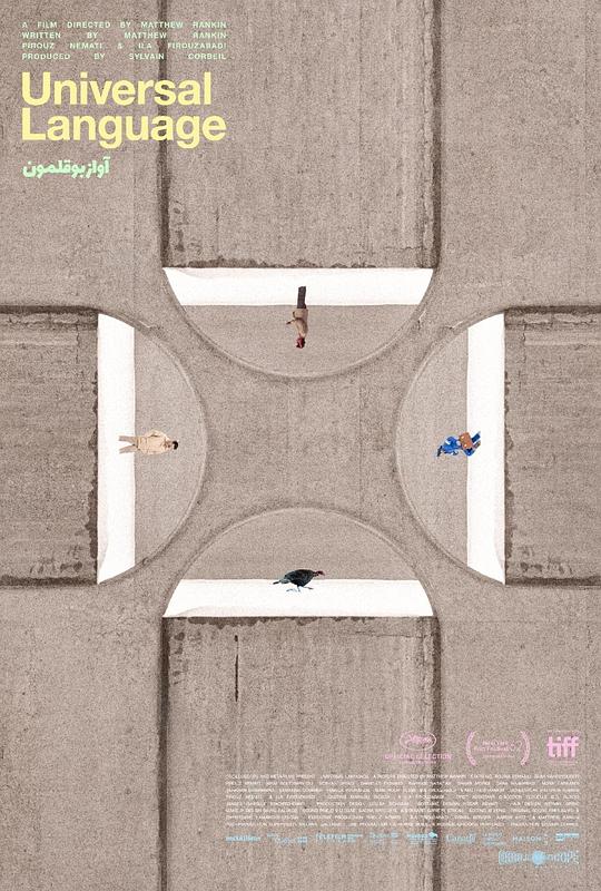 《共同的语言》电影封面