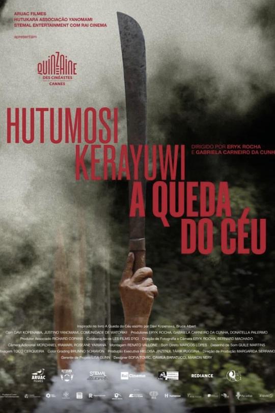 《坠落的天空》纪录片封面