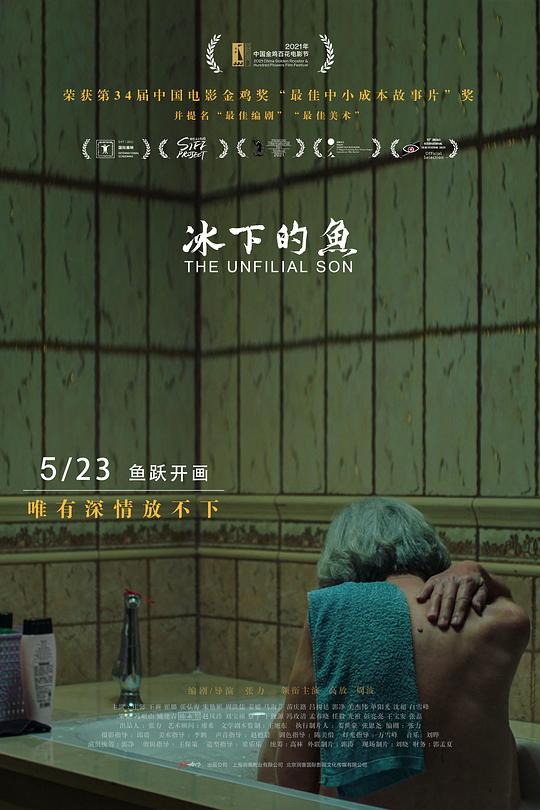 《冰下的鱼》电影封面
