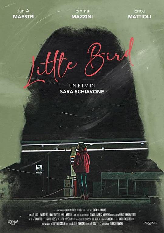 《小鸟》电影封面