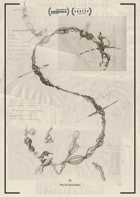 《[S]》动画封面