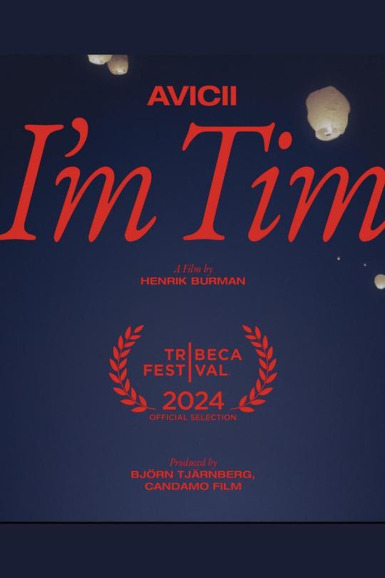 《电音奇才艾维奇:蒂姆原色》纪录片封面