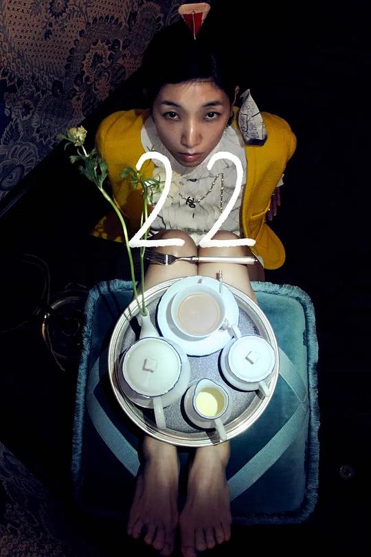 《22》电影封面