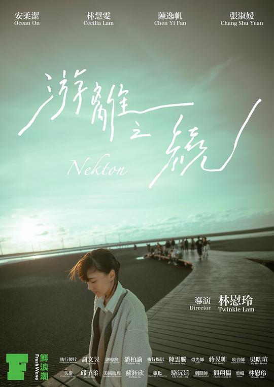 《游離之繞》电影封面