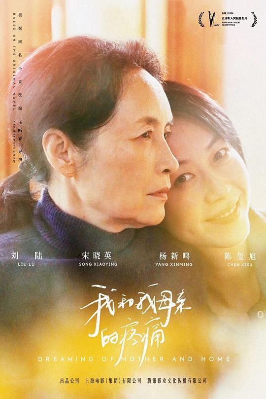 《我和我母亲的疼痛》电影封面