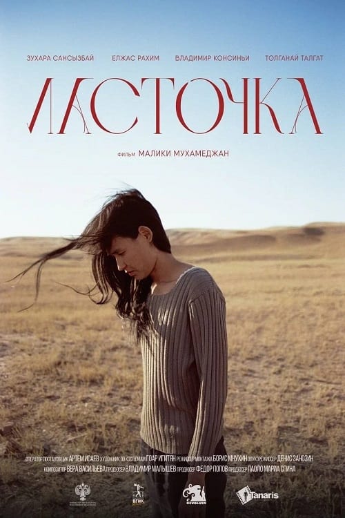 《燕子》电影封面