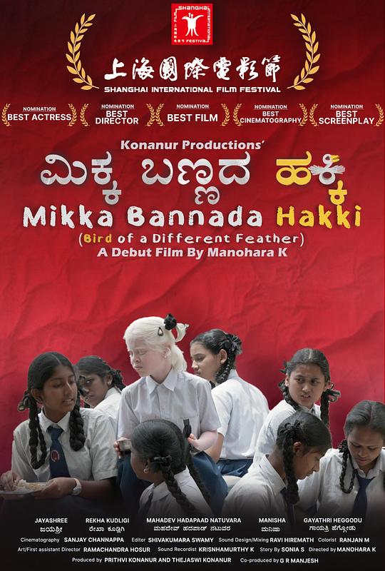 《异羽之鸟》电影封面