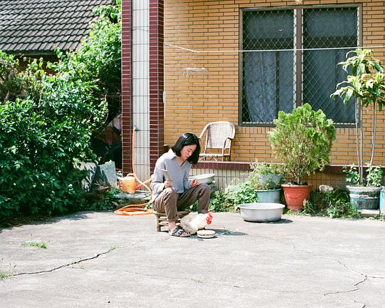 《母雞》电影封面