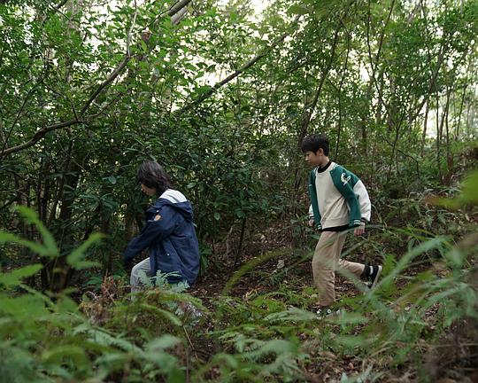 《秘密森林少年》电影封面