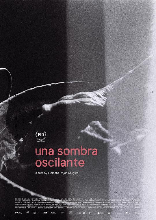《摇曳的影子》纪录片封面