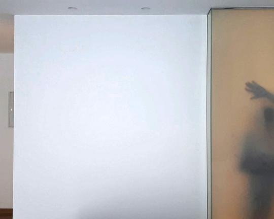 《Flamenco》电影封面