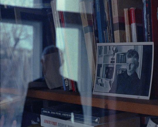 《如果我坠落，请不要将我拾起》电影封面