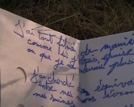 《La Prunelle Rouge》电影封面