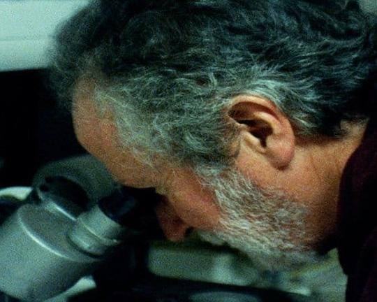 《The Suns Tongue》电影封面