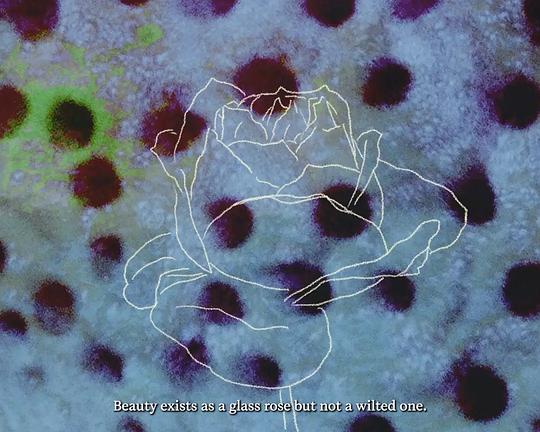 《倒刺》电影封面