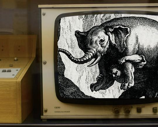 《Reason is a Balancing Animal》电影封面