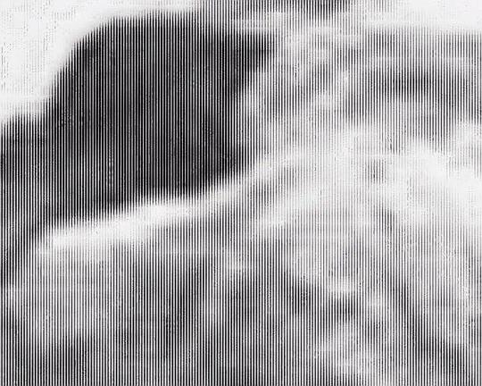 《解剖課（第二章）》电影封面