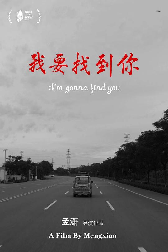 《我要找到你》纪录片封面