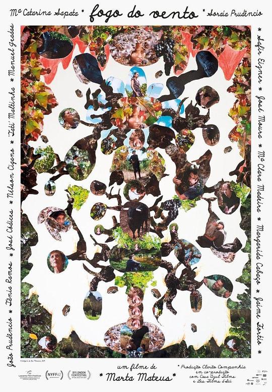 《风之火》电影封面