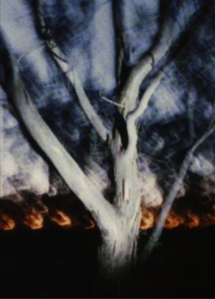 《夜晚的大地》电影封面