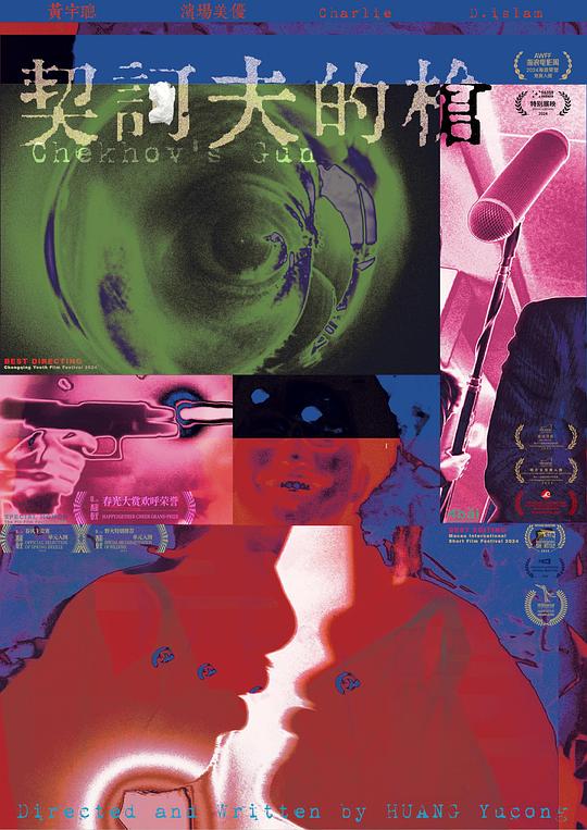 《契诃夫的枪》电影封面