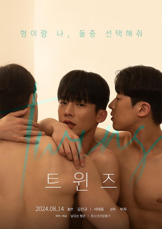 《双胞胎》电影封面