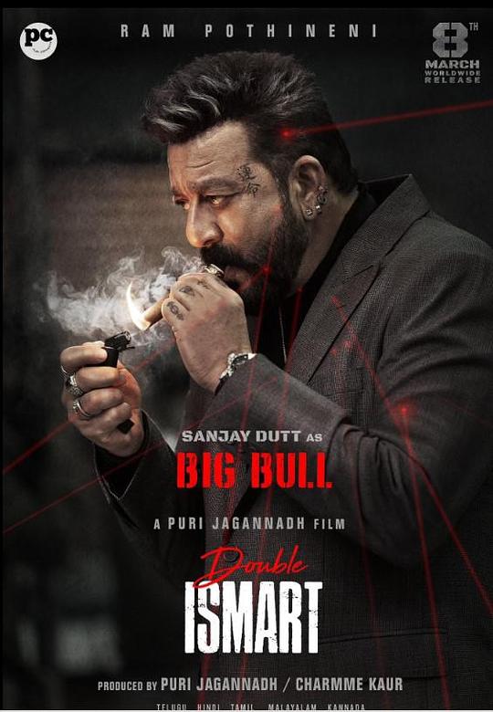 《双重智脑》电影封面