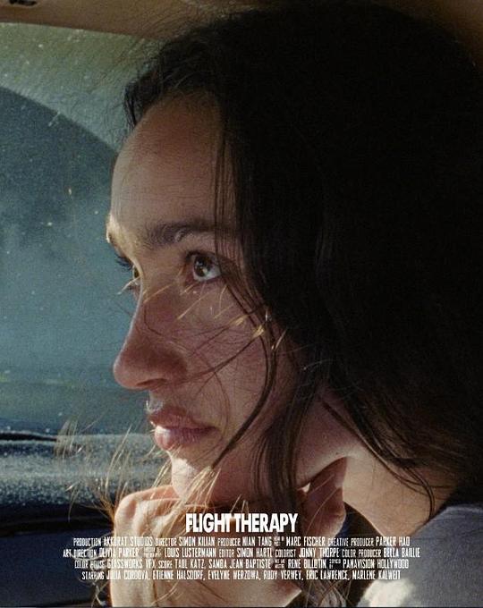 《Flight Therapy》电影封面