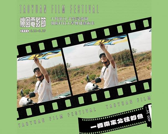 《一條南來北往的魚》电影封面