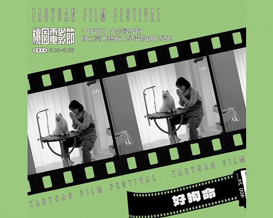 《好狗命》电影封面