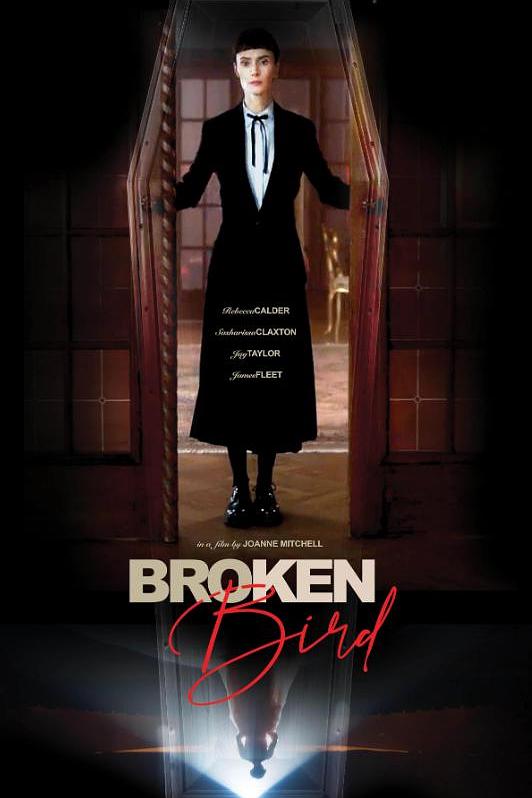 《折翼鸟》电影封面