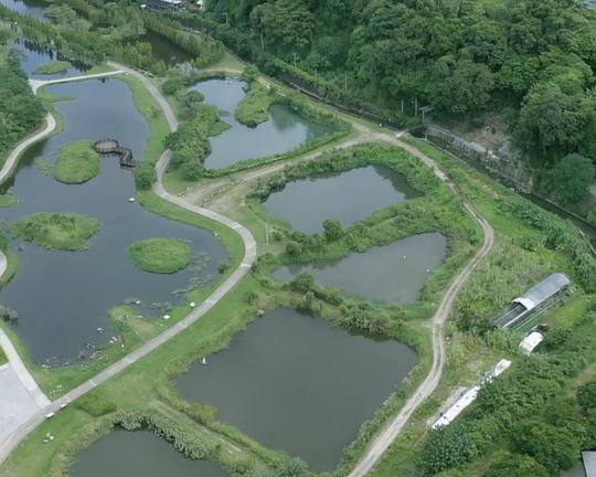 《台灣水台灣味》纪录片封面