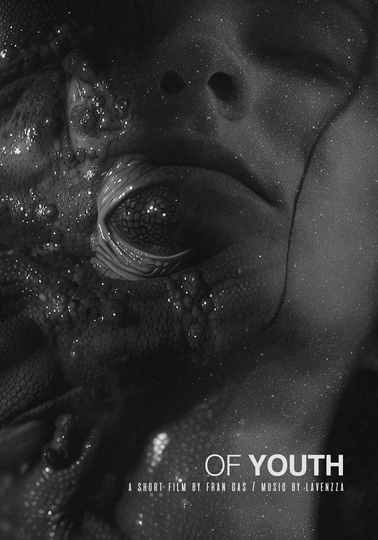 《青春》电影封面