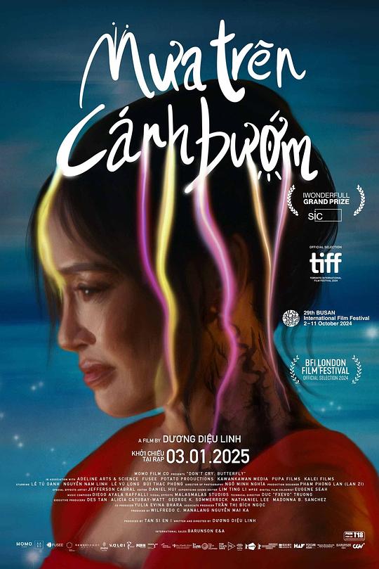 《蝴蝶，别哭》电影封面