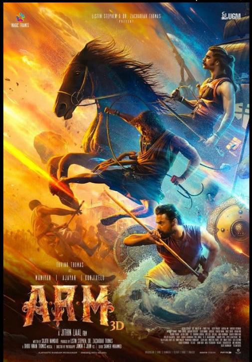 《阿贾扬的第二次盗窃》电影封面