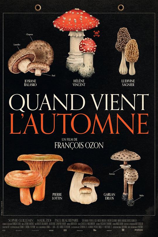 《秋日何时来》电影封面