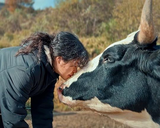 《꽃풀소》纪录片封面