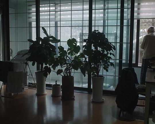 《A South-facing House in Gyeonggi Province》纪录片封面