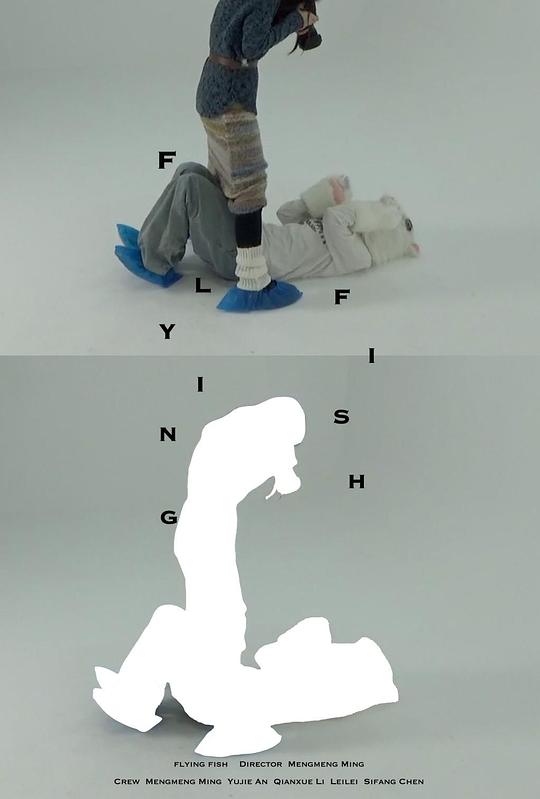 《会飞的鱼》电影封面