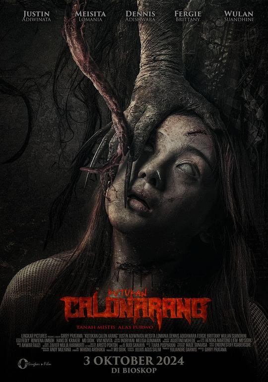 《候选人阿兰的诅咒》电影封面