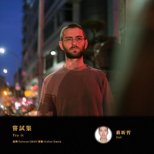 《嘗試集》电影封面