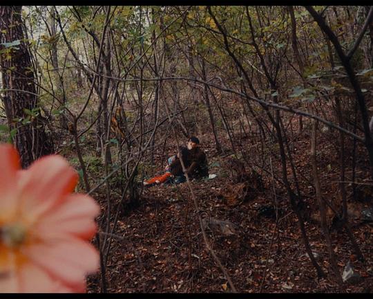 《就是那样》电影封面