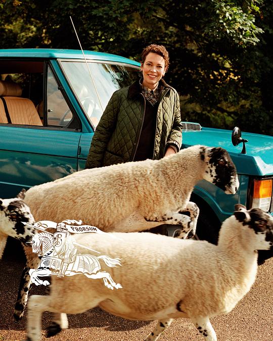 《羊群物语》电影封面