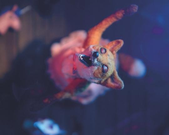 《变装狐狸》电影封面