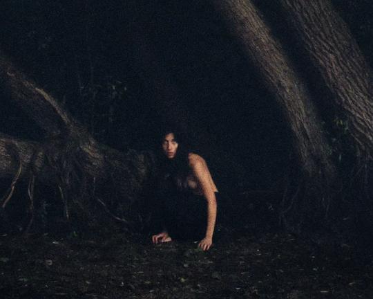 《Nido de Crocodilo》电影封面