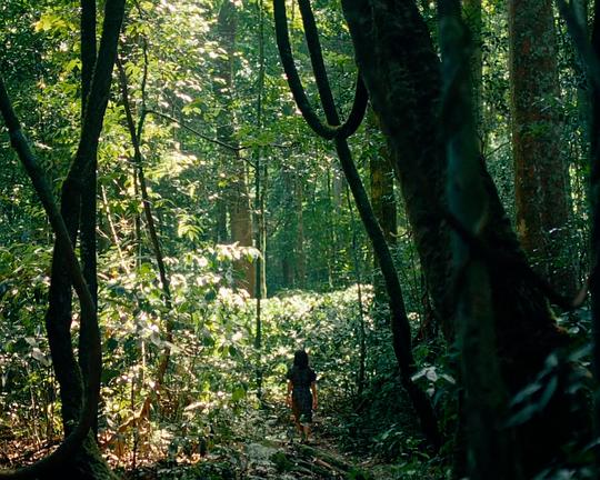 《Le seuil de la forêt》纪录片封面