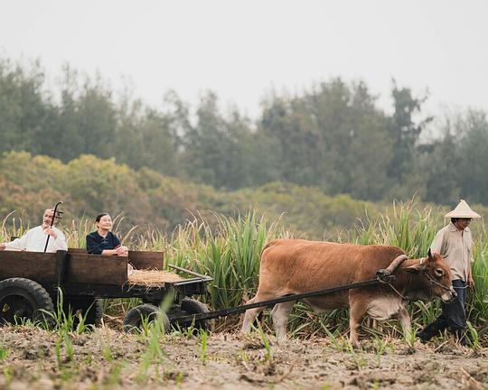 《吾土》电影封面